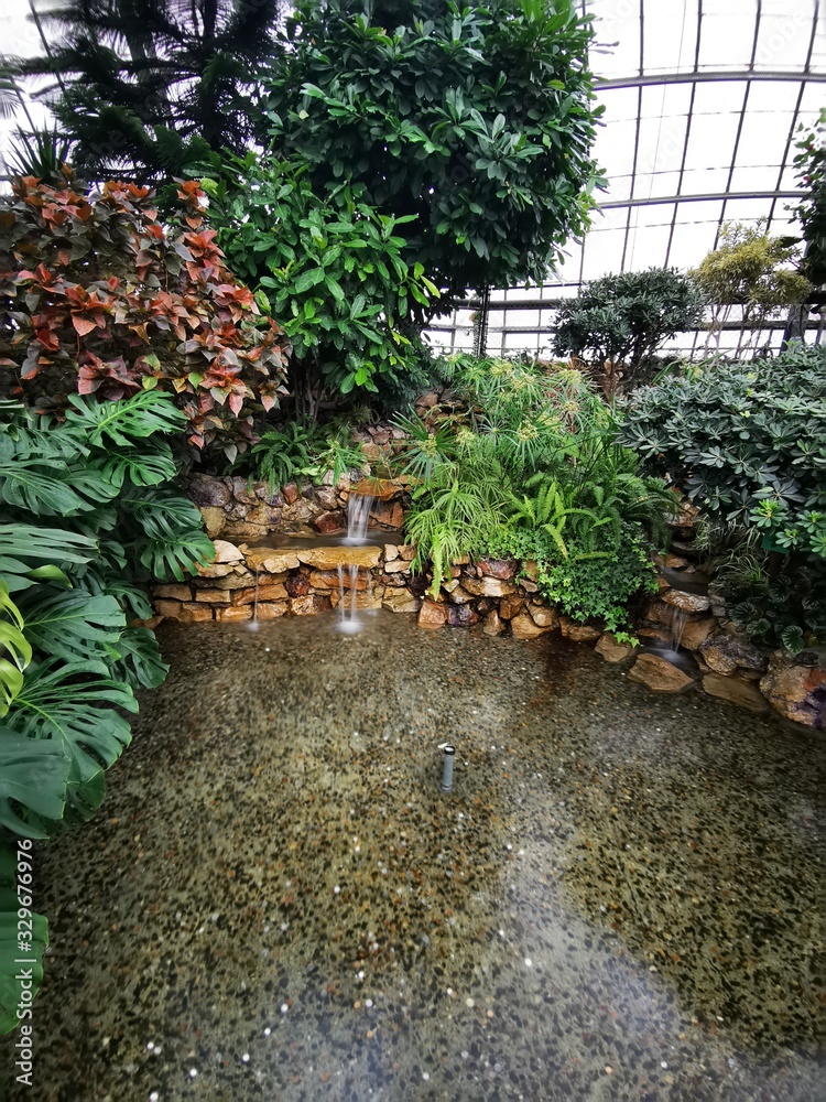 garden with plants and plants