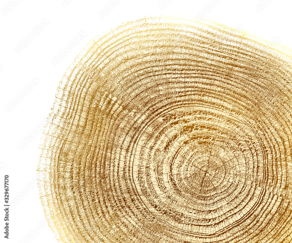 Naklejka premium Light wood texture from a tree trunk with growth rings isolated on white. Natural vintage wood texture.