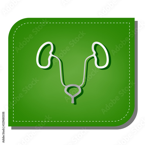 Urogenital system sign. Silver gradient line icon with dark green shadow at ecological patched green leaf. Illustration.