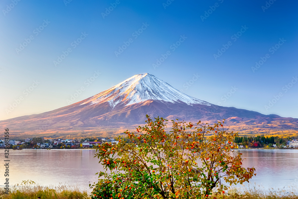 Fototapeta premium Unique Japan Travel Destinations. Recognizable Fuji Mountain At Kawaguchiko Lake in Japan.With Tangerine Tree in Foregound. Picture Taken At Fall.