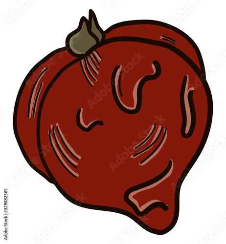 Small rotten tomato, illustration, vector on white background.