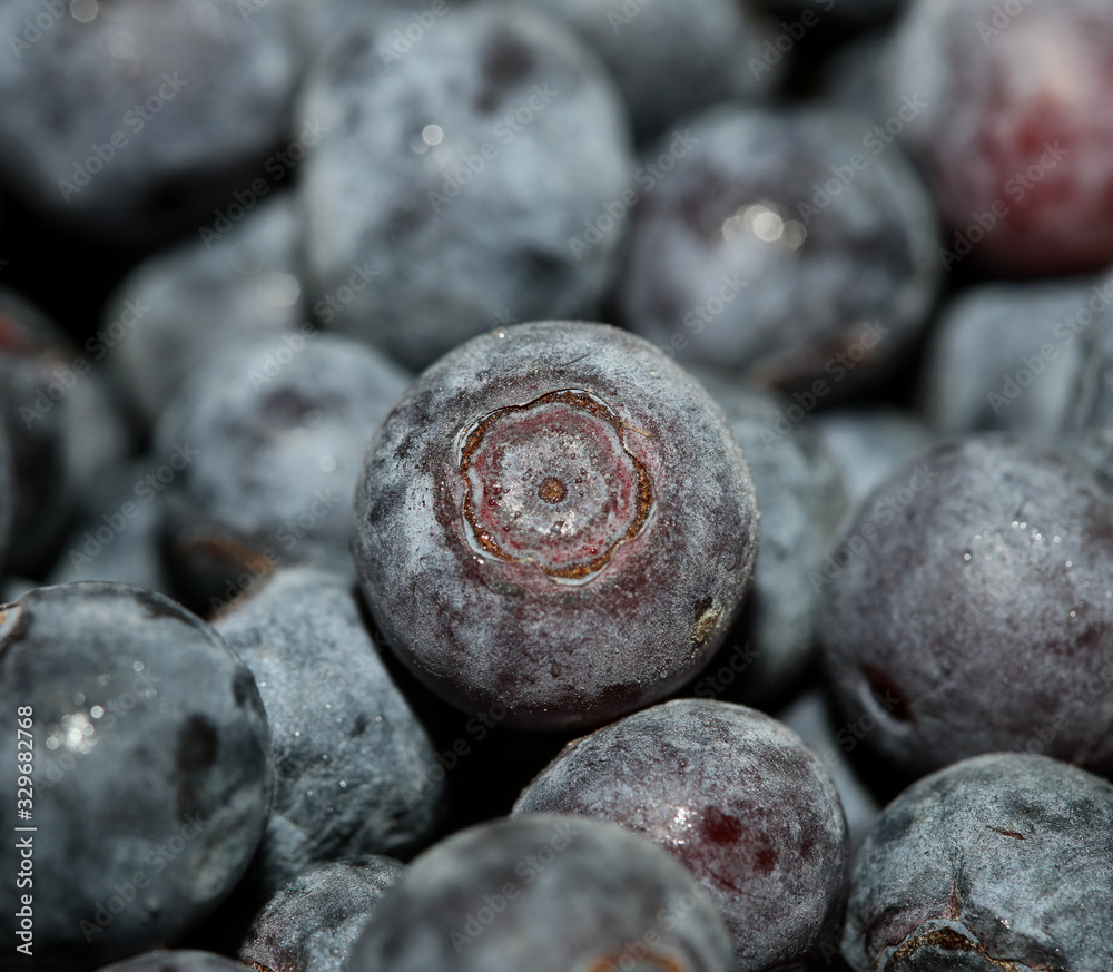 Wild blue berries macro background high quality prints Wild blue berries macro background high quality prints