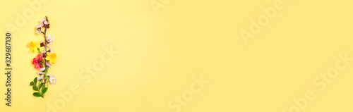 Branch of blooming cherry and spring wildflowers on a yellow background. Banner of spring.Colorful spring background