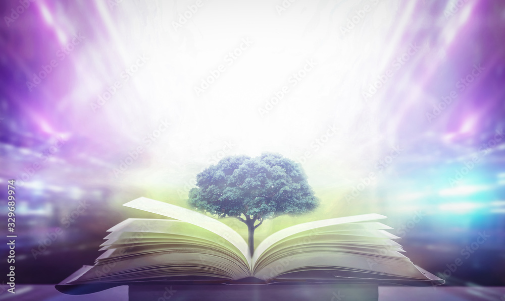 The concept of education by planting knowledge trees and birds flying ...