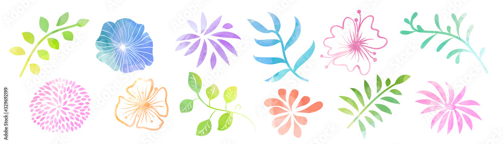 Fototapeta Vector watercolor flowers and leaves shapes bundle set