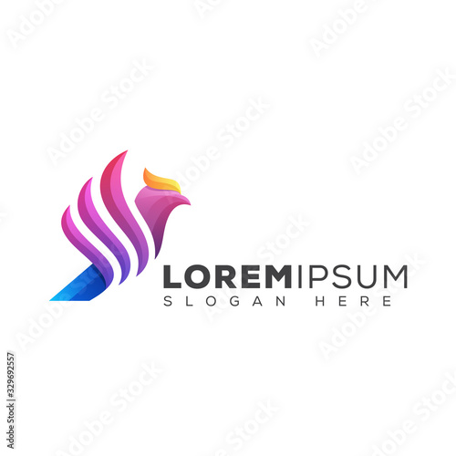 modern color bird phoenix logo design vector template