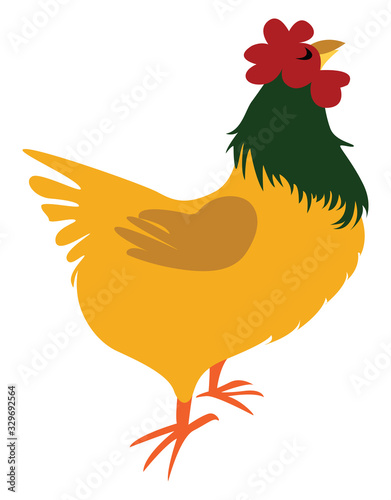 Orange cock, illustration, vector on white background.
