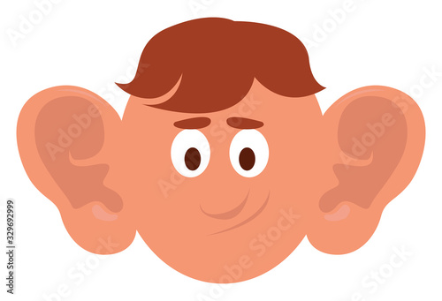 Boy with big ears, illustration, vector on white background.