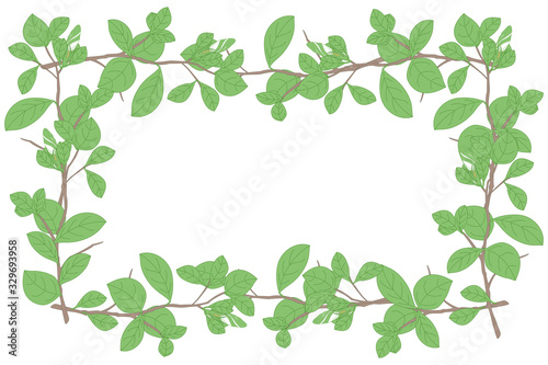 Wallpaper Mural Jungle tropical rectangle horizontal leaf frame with buds and branches in hand drawn style. Soft colors. Great for wedding, birthday, valentine, anniversary, card, father's day, invitation, template Torontodigital.ca