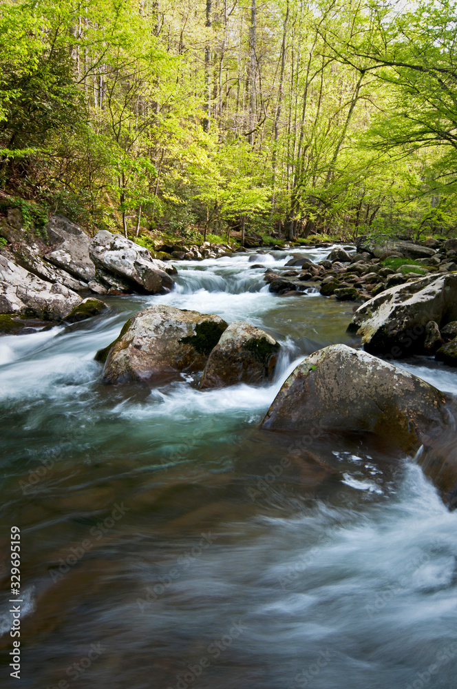The Middle Prong of the Little River swells with spring runoff in Great Smoky Mountain National Park. The Middle Prong of the Little River swells with spring runoff in Great Smoky Mountain National Park.