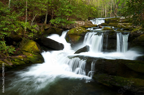One of countless waterfalls on the Middle Prong of the Little River  Great Smoky Mountains National Park  Tennessee.