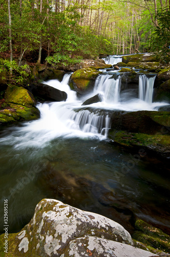 One of countless waterfalls on the Middle Prong of the Little River  Great Smoky Mountains National Park  Tennessee.