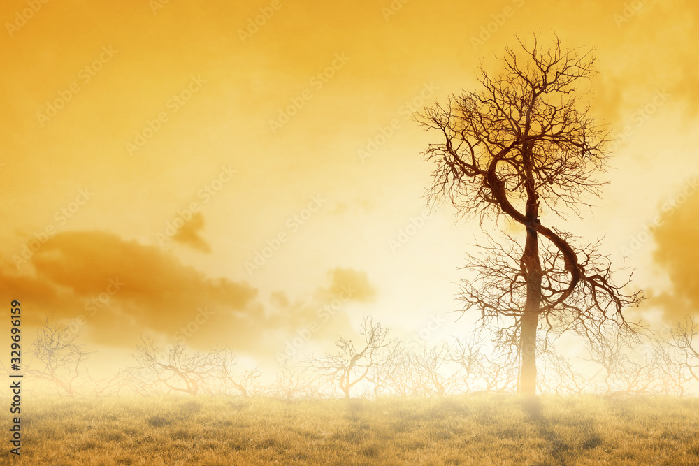 Tree and dollars concept of wealth. Friendly ecosystem for business and investment. Banking and foreign exchange market. Tree and dollars concept of wealth. Friendly ecosystem for business and investment. Banking and foreign exchange market.