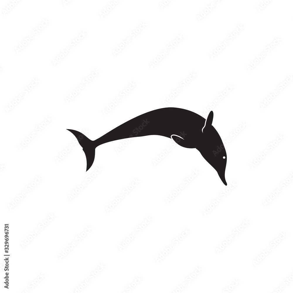 Obraz premium Dolphin graphic design template vector isolated