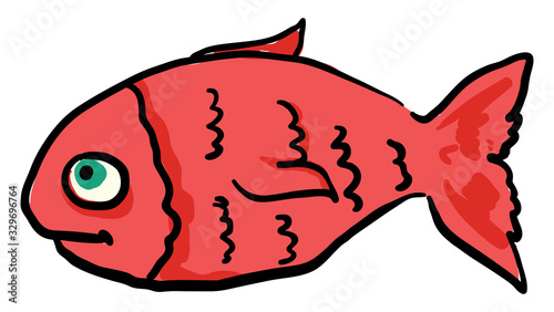 Red fish, illustration, vector on white background.