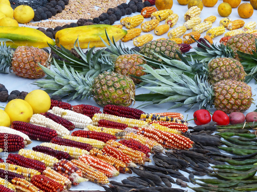 Fragment of Chacana or Ceremony in homage to Pachamama (Mother Earth) is an aboriginal ritual of the indigenous peoples of Ecuador. Bean, corn, fruit, banana, pineapple, orange, mango, carrot, nut photo