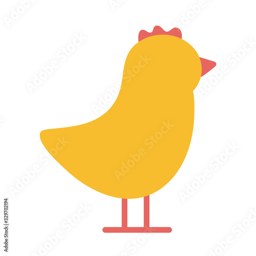 cute chicken on white background