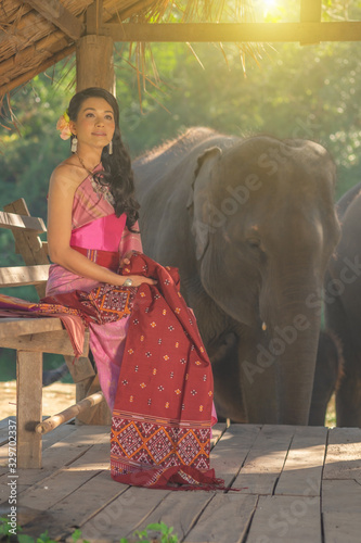 Beautiful thai women wearing traditional thai clothes sitting on an elephant in nature park thailand, woman concept