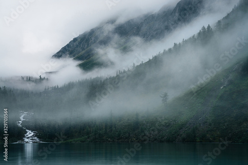 Highland creek flows through forest and flows into mountain lake. Ghostly foggy landscape with alpine lake and dark forest among low clouds. Atmospheric scenery with coniferous trees in dense fog.