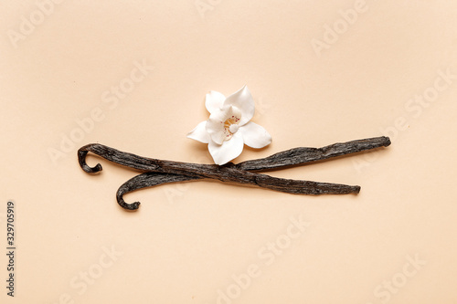 Aromatic vanilla sticks on color background photo