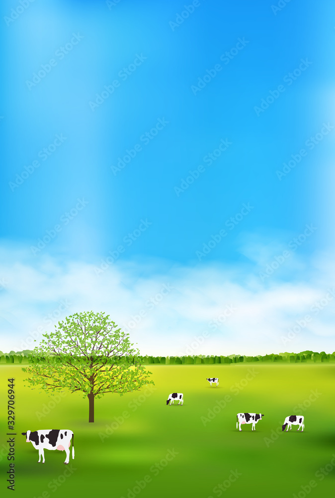 Fototapeta premium 牛 牧場 風景 背景