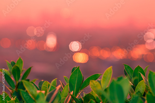abstract background of the green leaves in the park,with the blur of bokeh,the light from the colorful shelter falling onto,a kind of artistic beauty of nature © bangprik
