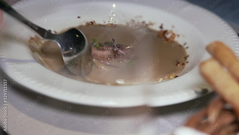 Mushroom duck soup in plate, slow motion 1080p Mushroom duck soup in plate, slow motion 1080p