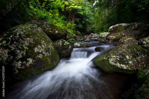 waterfall in forest