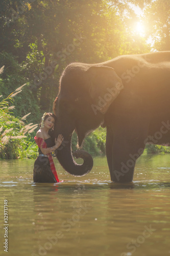 Beautiful thai women wearing traditional thai clothes standing on an elephant in nature park thailand, woman concept