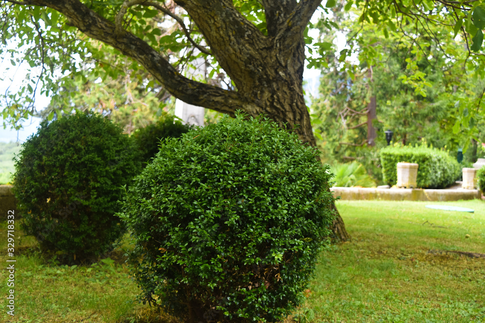 path in the park