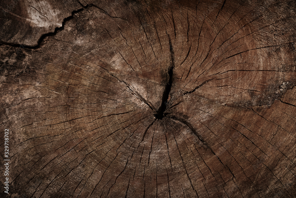 old stump cut with cracks for background
