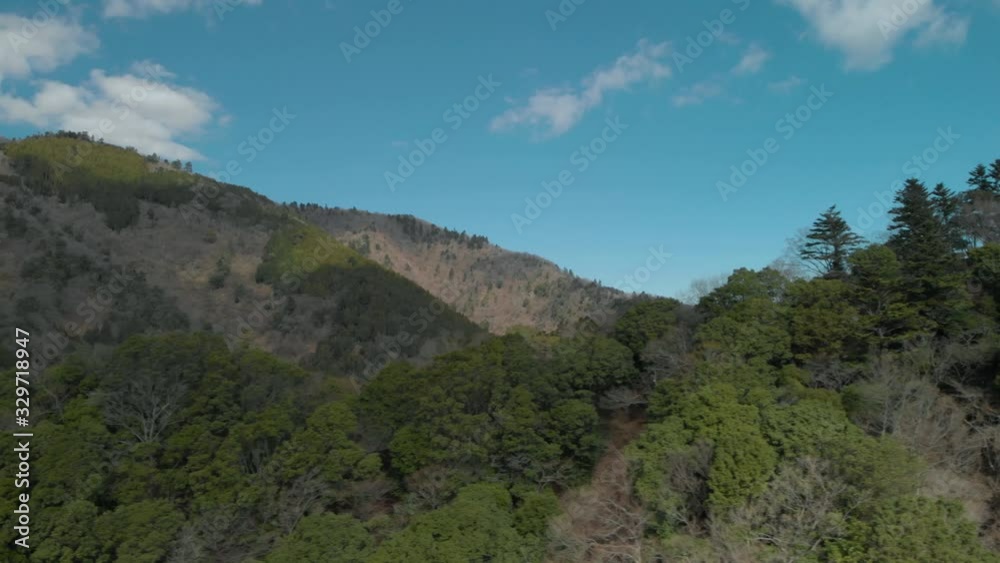山の木々と青空