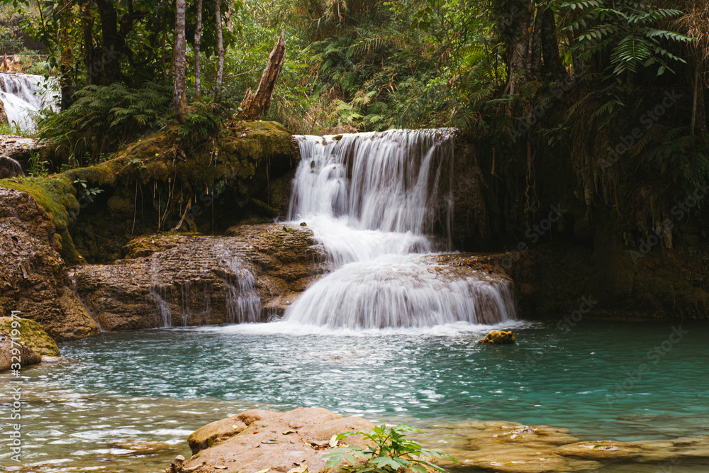 Obraz premium waterfall in the forest