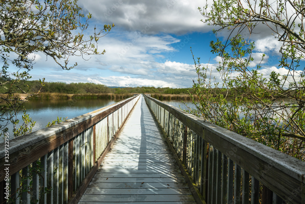 Fototapeta premium Wooden boardwalk through the lake. Oso Flaco Lake trail in Oceano Dunes State Vehicular Recreation Area, California
