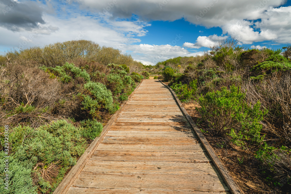 Wooden boardwalk through the dunes. Oso Flaco Lake Natural Area, Oceano, California