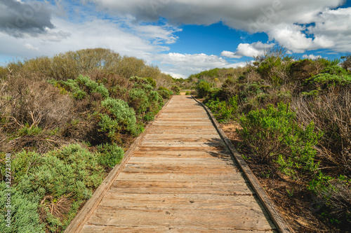 Wooden boardwalk through the dunes. Oso Flaco Lake Natural Area  Oceano  California