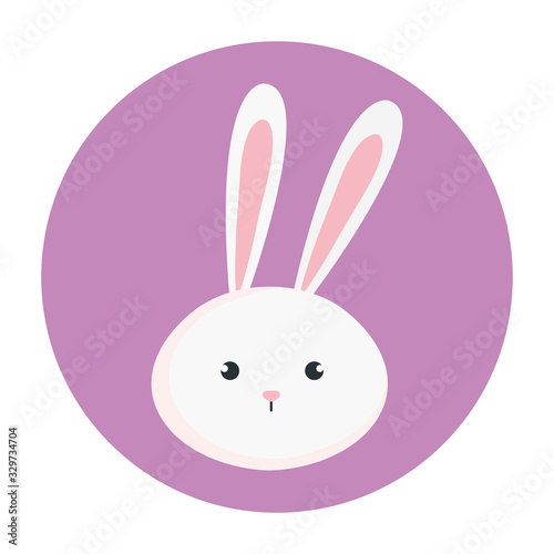 head of cute rabbit in frame circular vector illustration design