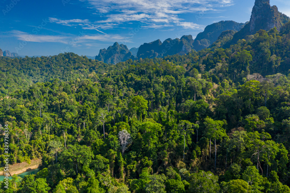 Aerial drone shot of dense tropical rainforest and towering limestone cliffs