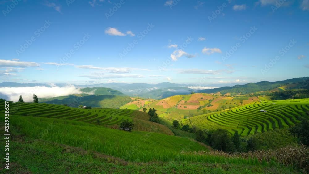 Nature landscape beautiful green rice field terrace on background mountain with scenery clouds and blue sky at sunrise.