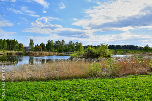 Latvia, the bank of the Daugava River near the city of Ogre, green grass and brown reeds, on the other bank are trees, clouds in the blue sky, in the summer in the daytime.