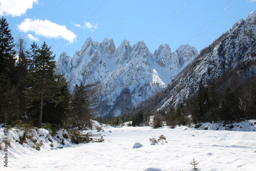 ALPI CARNICHE