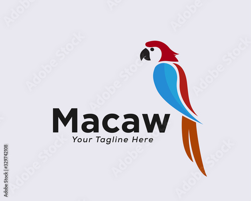 Simple colors parrots logo design inspiration