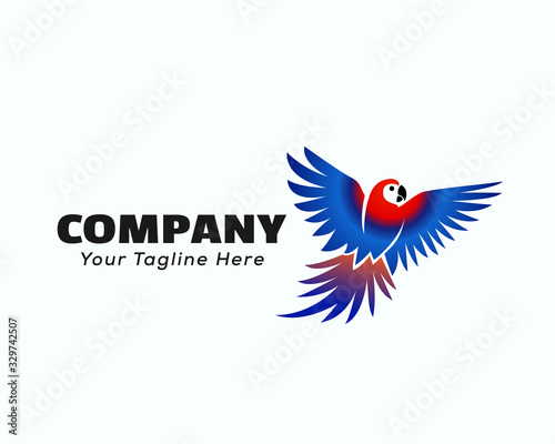 Flying colors parrots logo design inspiration