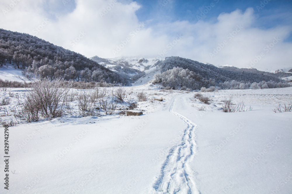 Footprints in the snow, Karachay-Cherkessia, Russia Footprints in the snow, Karachay-Cherkessia, Russia