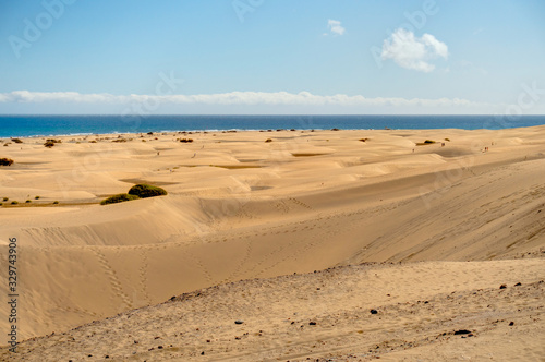 Dunes in Maspalomas  Gran Canaria