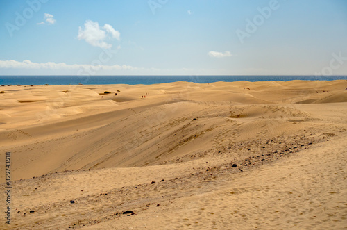 Dunes in Maspalomas, Gran Canaria © mehdi33300