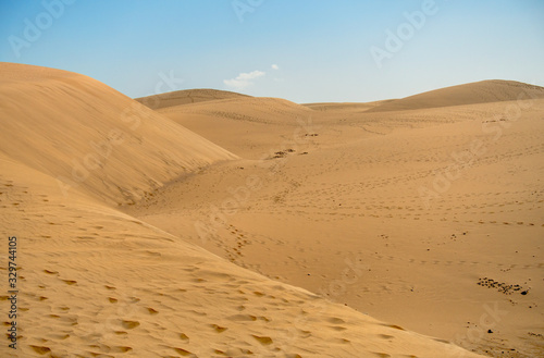 Dunes in Maspalomas  Gran Canaria