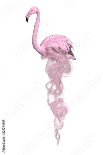 tropical flamingo in beautiful pastel colors white and pink
