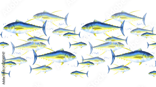 Seamless pattern of school of yellowfin tuna, thunnus albacares. Watercolor illustration fish border on white background