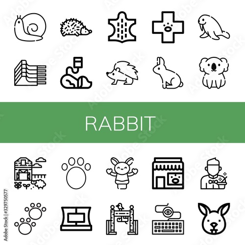 Set of rabbit icons